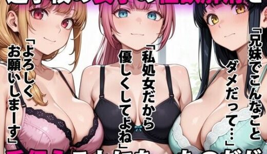 進学校の女子の性欲解消を手伝うことになったのだが