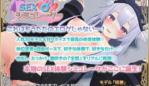 SEXシミュレーター