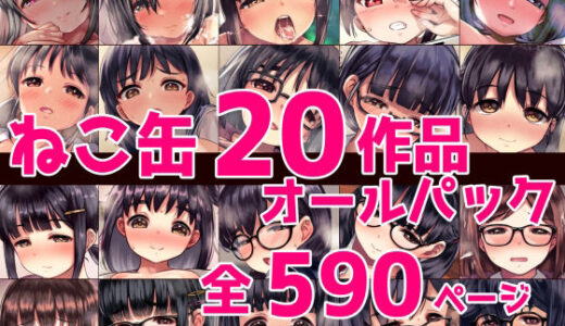 ねこ缶20作品オールパックの口コミ