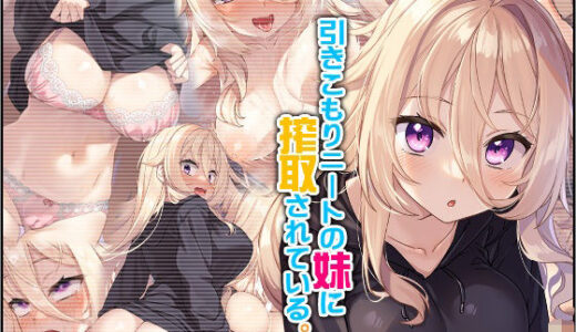 引きこもりニートの妹に搾取されている。