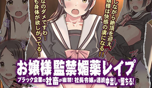 お嬢様監禁媚薬レ●プ-ブラック企業の社畜が復讐！社長令嬢が連続中出しで堕ちる！