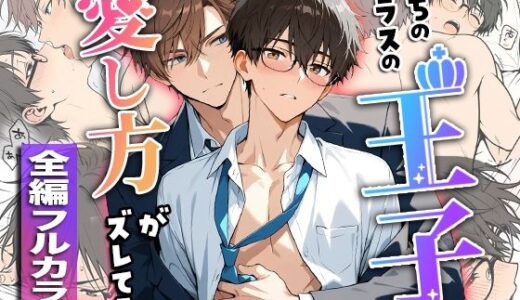 うちのクラスの王子は愛し方がズレてる