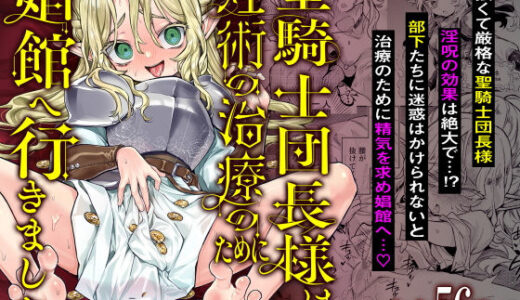 聖騎士団長様は婬術の治療のために娼館へ行きました